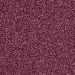 Polaris Twist 865 Carpet