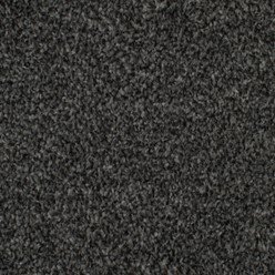 Ilfracombe Rock Carpet