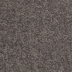 Polaris Twist 876 Bear Creek Carpet
