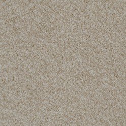 ILFRACOMBE Shell Carpet