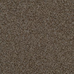 ILFRACOMBE Trail Carpet – Natural Earth-Tone Tufted Flooring