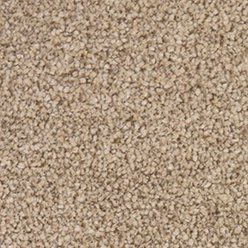 INVICTUS DARIUS – 39 WHEAT STRAW