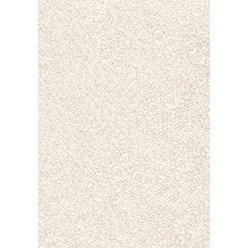 Invictus Magnificus – 03 CREAM