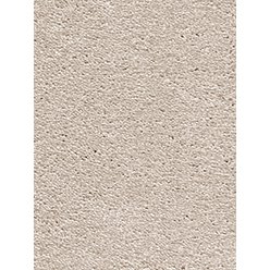 Invictus Magnificus – 31 Shortbread Carpet