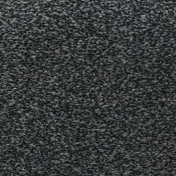 HONG KONG PLATINUM 77 FB Carpet