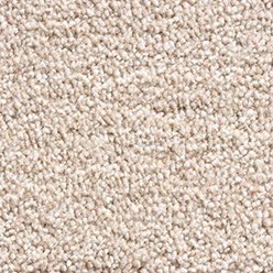 Phoenix 170 Carpet – Product Description
