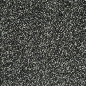 HOMELY COMFORTABLE Carpet