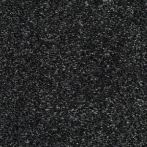 HOMELY CONTENTED Carpet