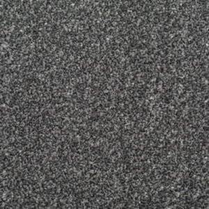 HOMELY COSY Carpet