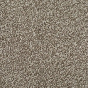 HOMELY DELIGHTFUL Carpet