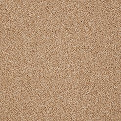 INGLEWOOD SAXONY WHEAT HUSK – Carpet Overview