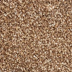 Phoenix 91 Carpet