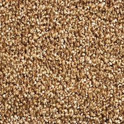 Phoenix 92 Carpet