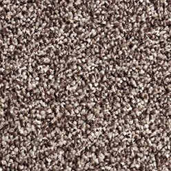 Phoenix 93 Carpet