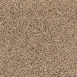 MANOR SAXONY 700 Carpet