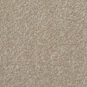 Homely Mellow Carpet