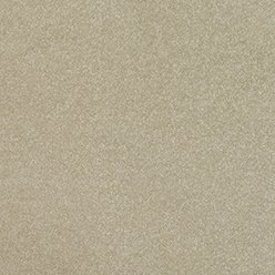 Pinnacle 640 Frosted Dawn Carpet – Actionbac Backing