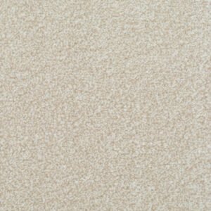 Homely Soothing Carpet – Actionbac Backing