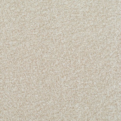 Homely Soothing Carpet – Actionbac Backing