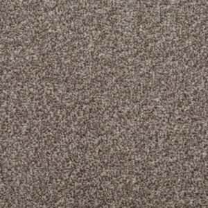 Homely Tranquil Carpet – Actionbac Backing