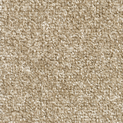 LYON 73 ACTIONBAC Carpet