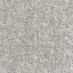 LYON 76 ACTIONBAC Carpet