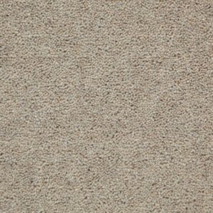 NEW ELFORD SUP (B) BUFF Carpet