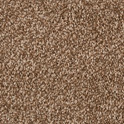 NEW JERSEY SAXONY BEAVER 1309 Carpet