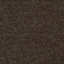 Ilfracombe Driftwood Carpet