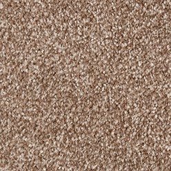 NEW JERSEY SAXONY COOKIE 1319 Carpet