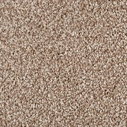 New Jersey Saxony Sandstone 1315 Carpet