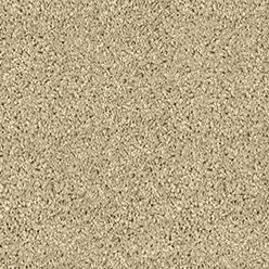 New Orleans Biscotti Carpet