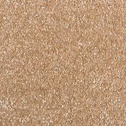 Princeton Junior Feltbac – Honey Carpet