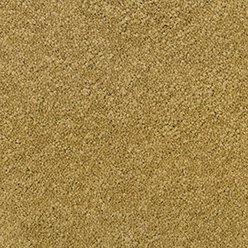 Regis Twist 772 Sun | Warm-Tone Feltbac Twist Pile Carpet