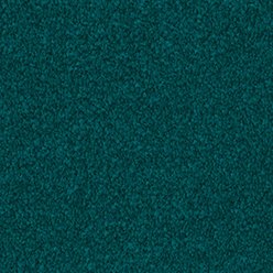 Princeton Junior Feltbac – Teal Carpet