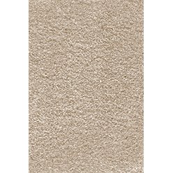 Roxi Action Biscotti Carpet