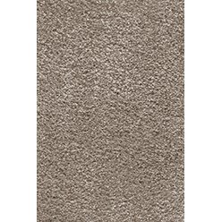 Roxi Action Mocha Carpet