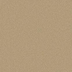 Primo Plus Muscovado Carpet