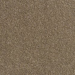 Revolution 194 Beaver Carpet