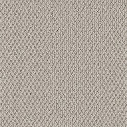 Primo Plus Putty Carpet –