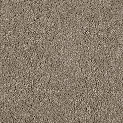 ADORO Cherish Carpet