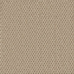 Primo Textures Elk (Weave) Carpet