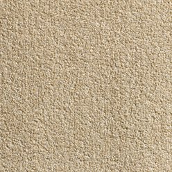 Revolution 70 Warm Beige Carpet