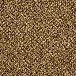 Primo Tweeds Butterscotch Carpet