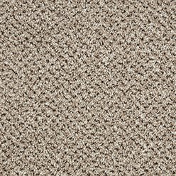 Primo Tweeds Moccasin Carpet